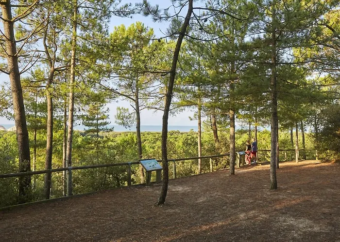 Casa vacanze Charmante Maison Rénovée En Lisière De Forêt, 600m De La Plage, 2 Jardins Clos, Confort Moderne - Fr-1-323-371