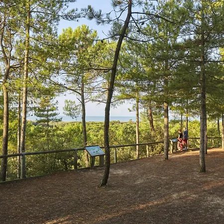 Vakantiehuis Maison Renovee, Proche Foret Et - Fr-1-323-371