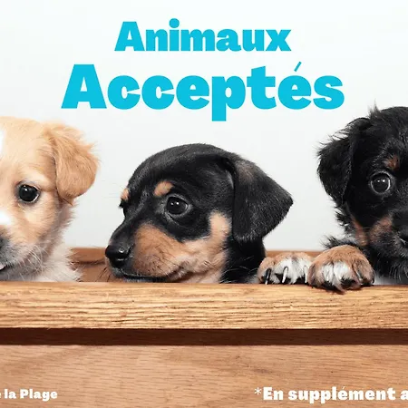 Maison Renovee, Proche Foret Et - Fr-1-323-371